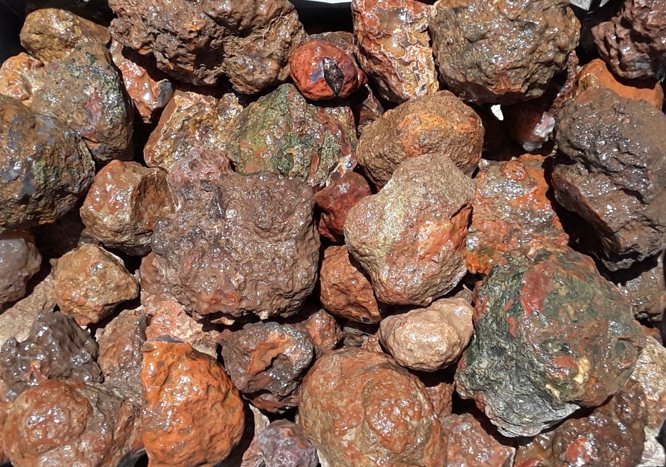 Condor agate rough nodules 2 pounds