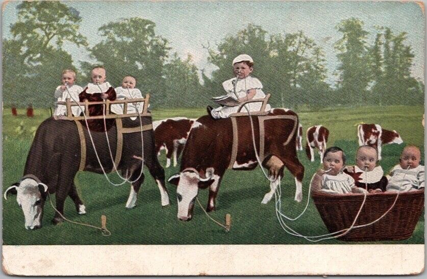 c1910s Babies / FANTASY Postcard Children Drinking Milk Directly from Cows