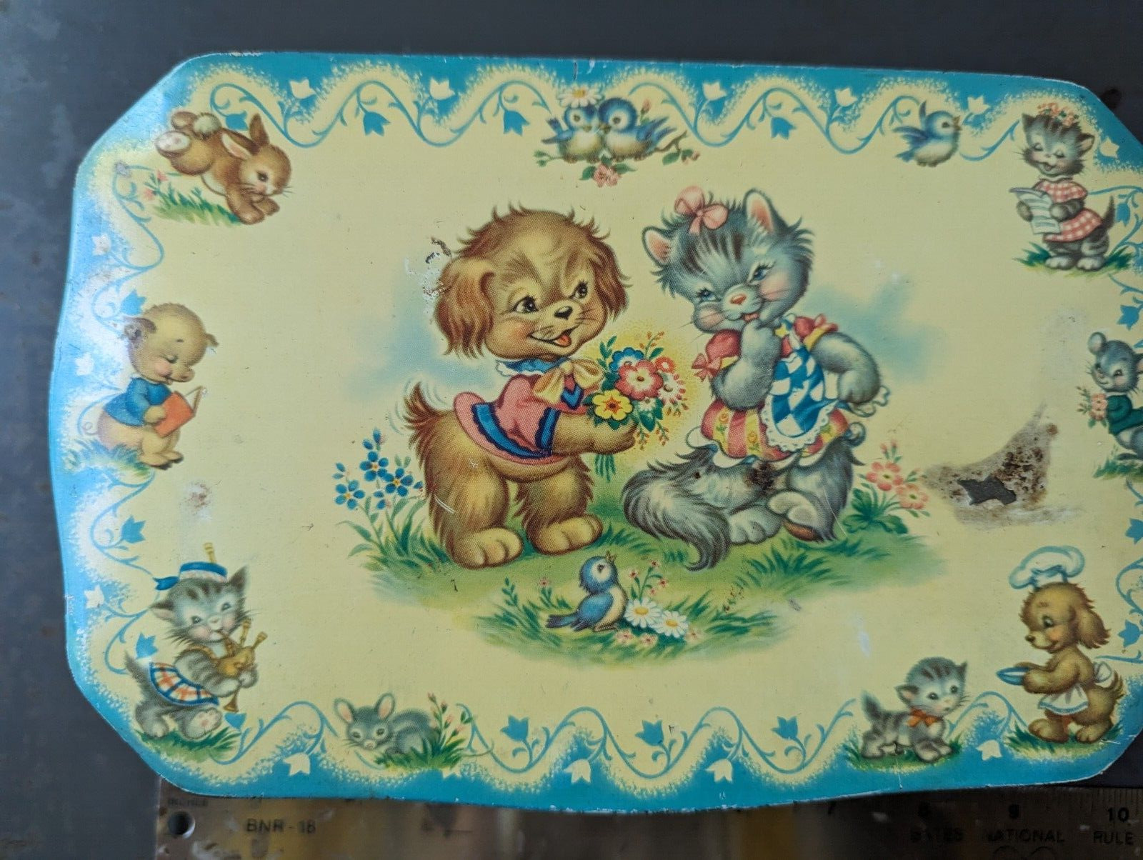 GREY AND DUNN kitchy kittens and puppies VINTAGE BISCUIT TIN