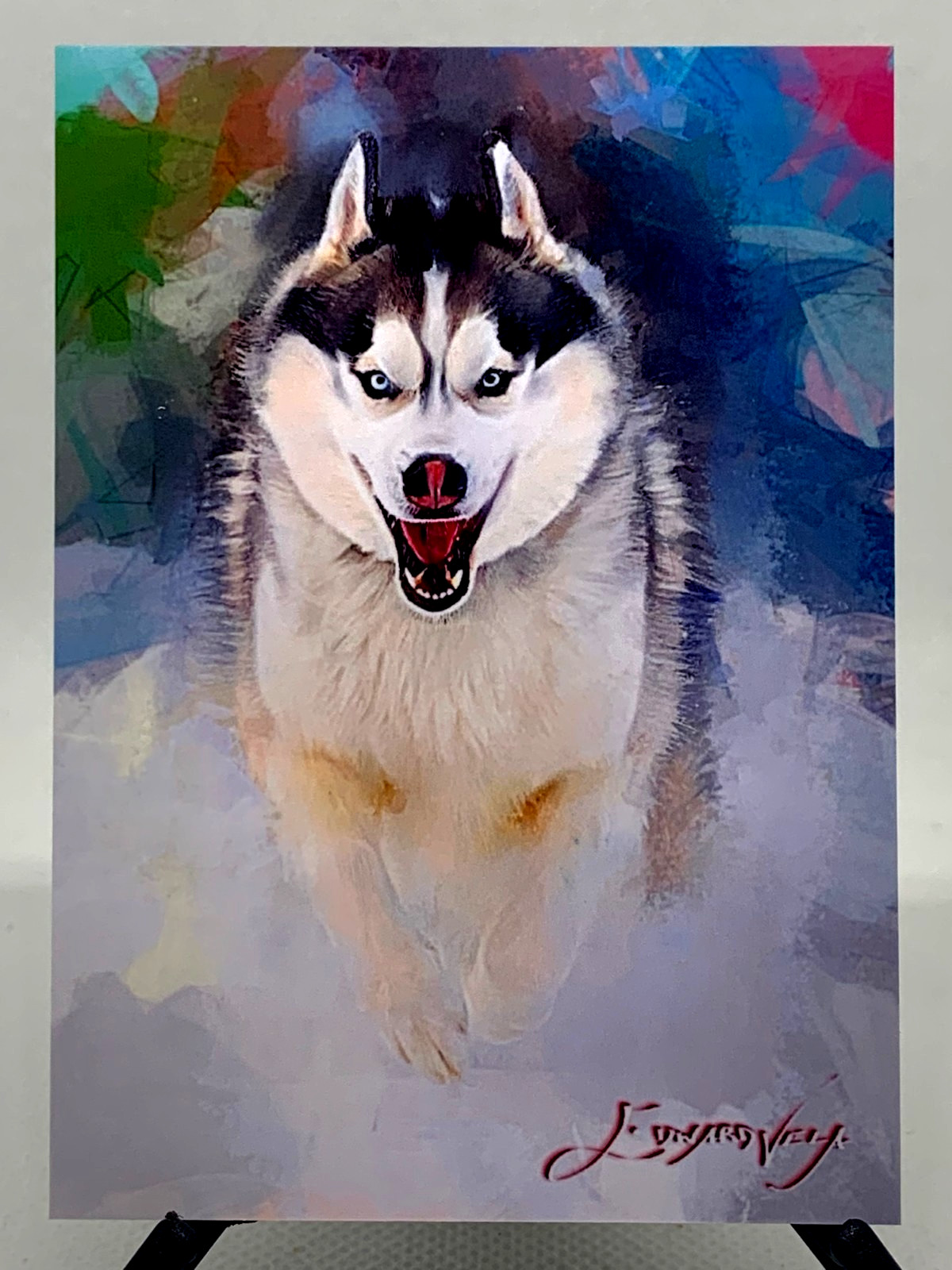 Husky 32/50 Limited Edition Signed Edward Vela card (Animals) - Husky 32/50 Limited Edition Signed Edward Vela card (Animals) -