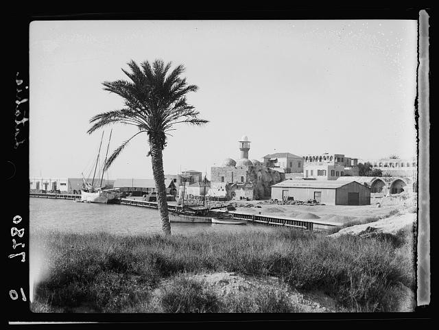 Photo:Latakia Syria 1900s Along the Bay Palm Tree Harbor Scene