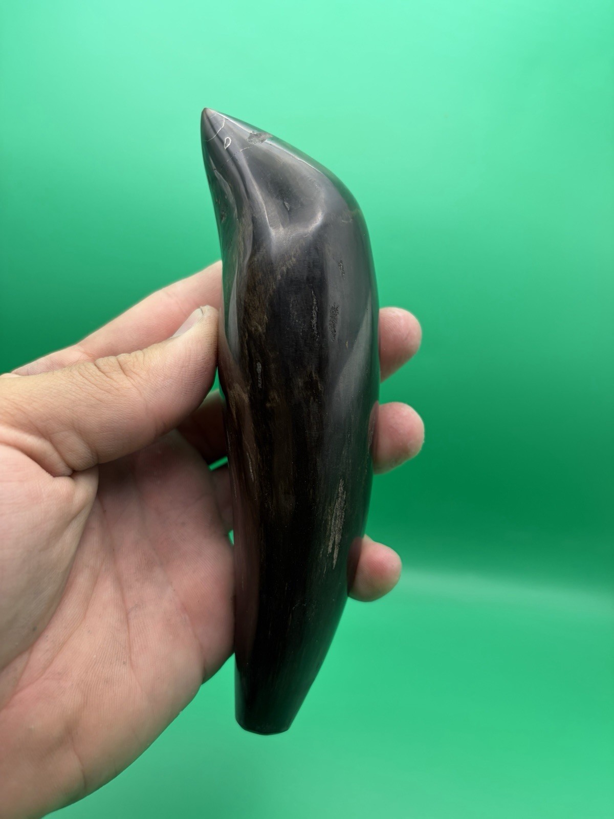 HUGE Sperm Cetacean Fossil Tooth - Wonderful Polished - PYRITE VEINS