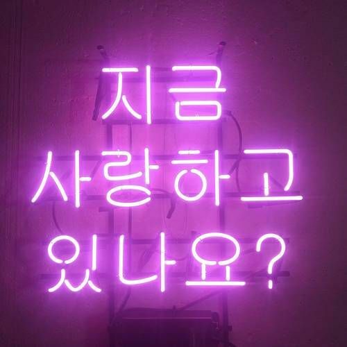 Korean Is He Loving You Now Neon Sign Beer Bar Gift 17