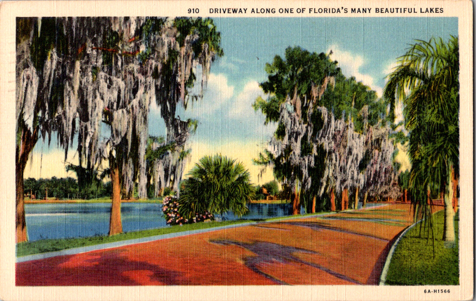 Vintage 1940 Lake Side Road with Moss Covered Trees Florida FL Postcard 