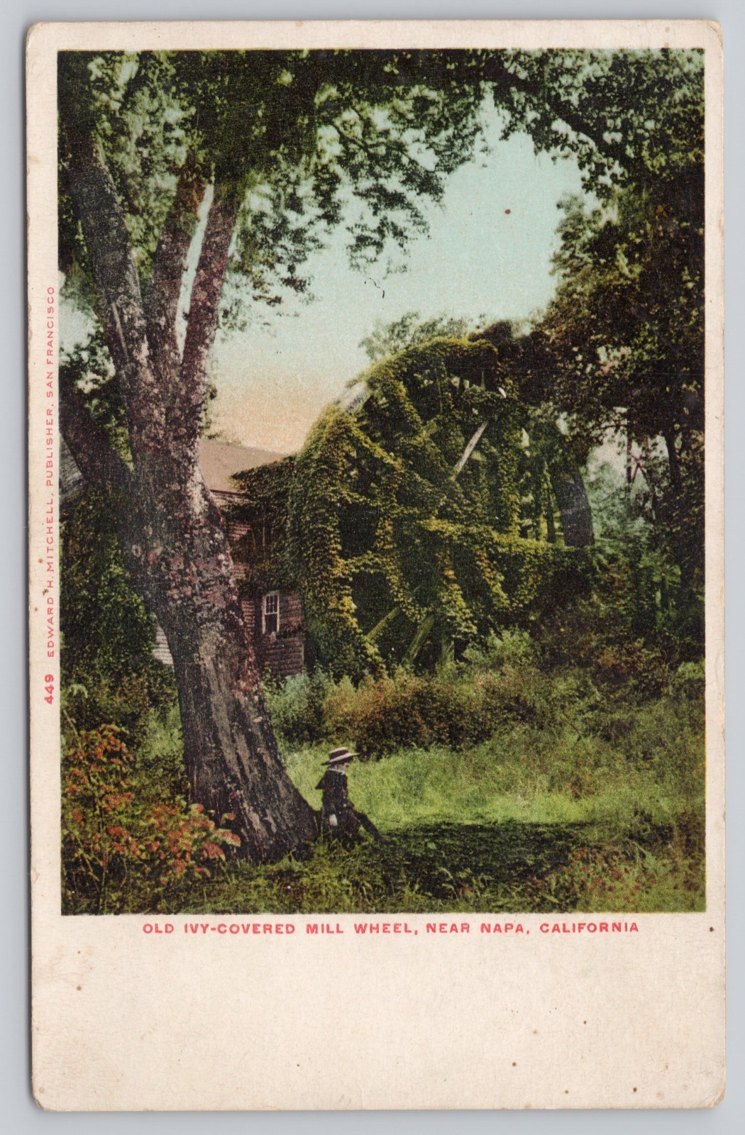 Old Ivy Covered Mill Wheel, Napa CA California Postcard 1900s UDB Undivided Back