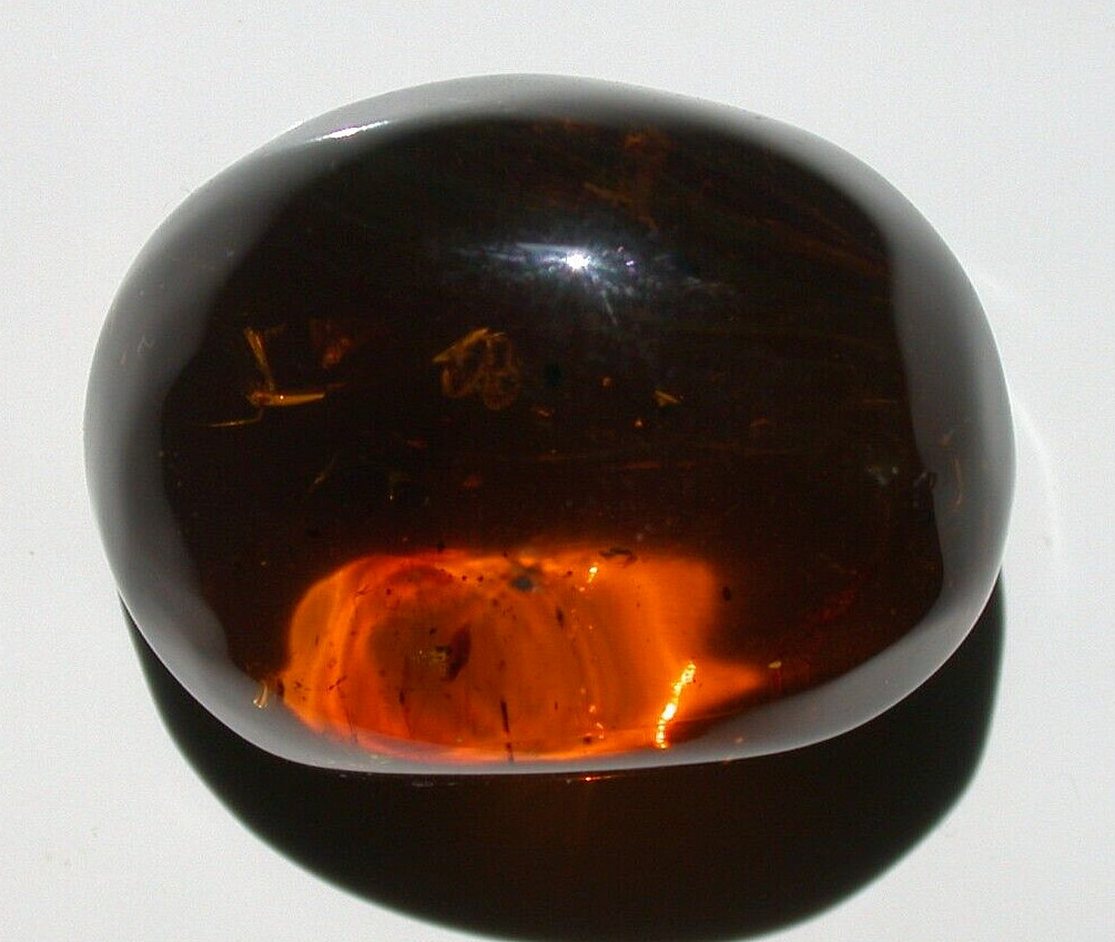 Beautiful Cherry RED Burmite Amber Fossil GEM from Dinosaur Age Untreated