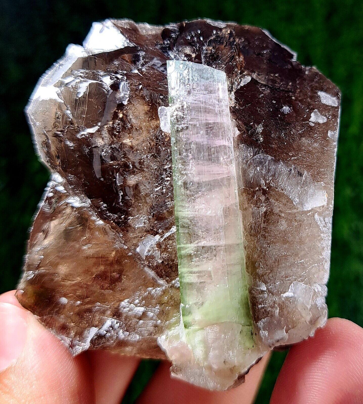 857carats A lovely piece of watermelon tourmaline specimen crystal on quartz
