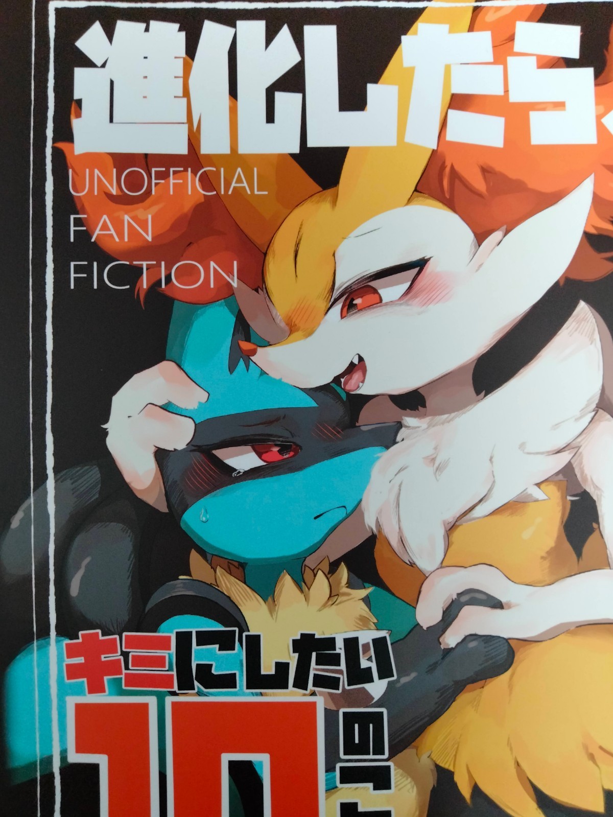 Doujinshi POKEMON Braixen X Lucario (B5 26pages)