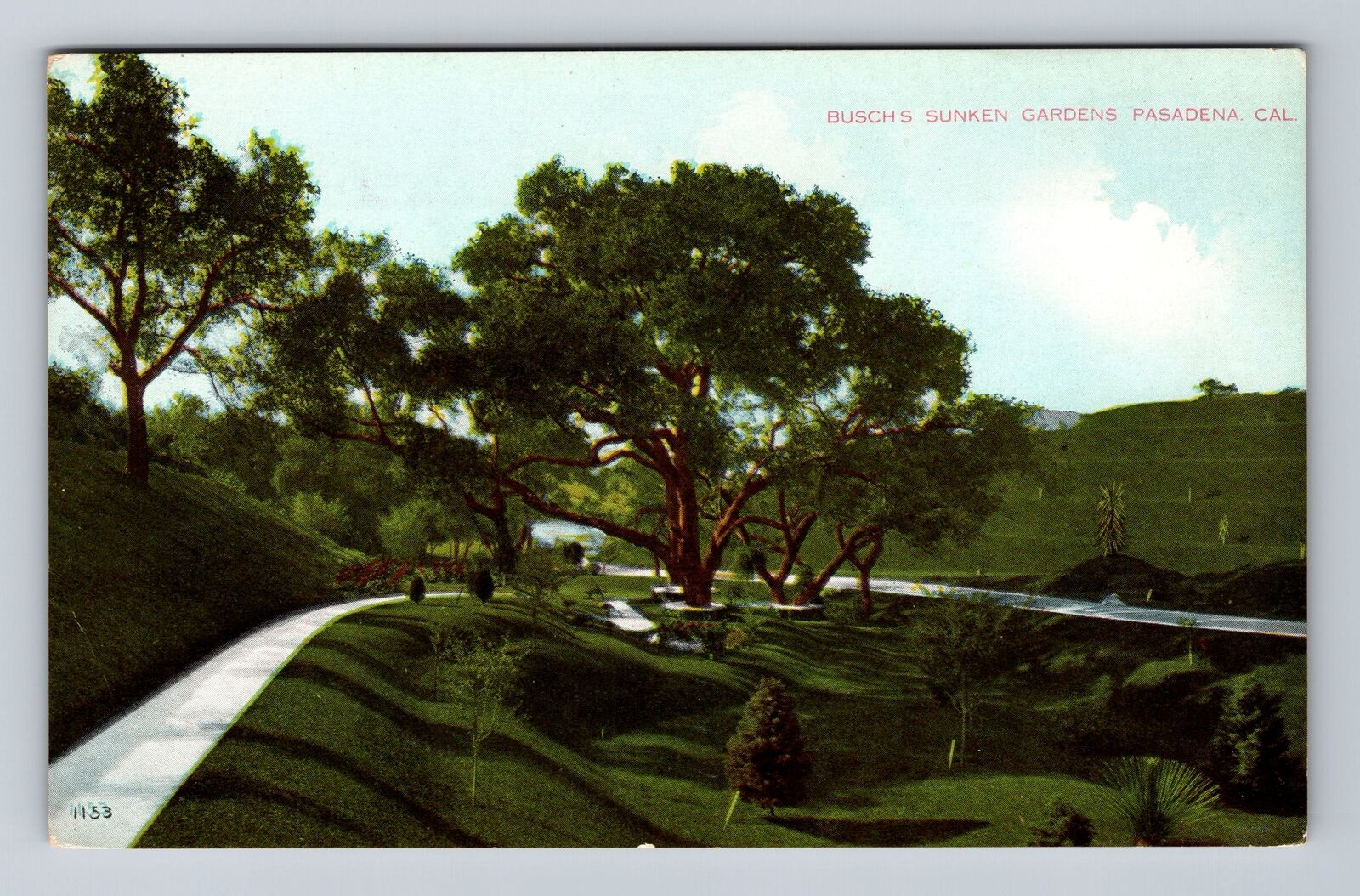 Pasadena CA-California, Busch\'s Sunken Gardens, Antique, Vintage Postcard