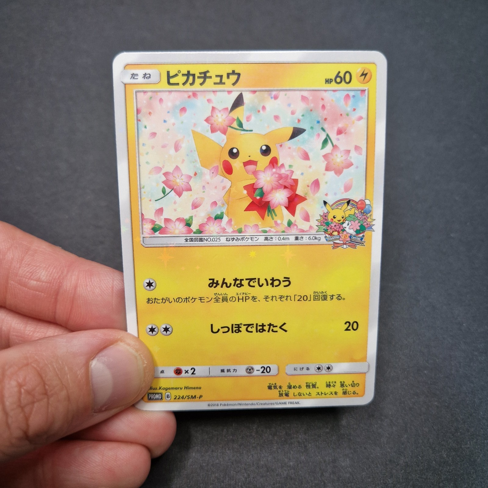 Pikachu Flower Pokemon Japanese Inspired Custom Art Card