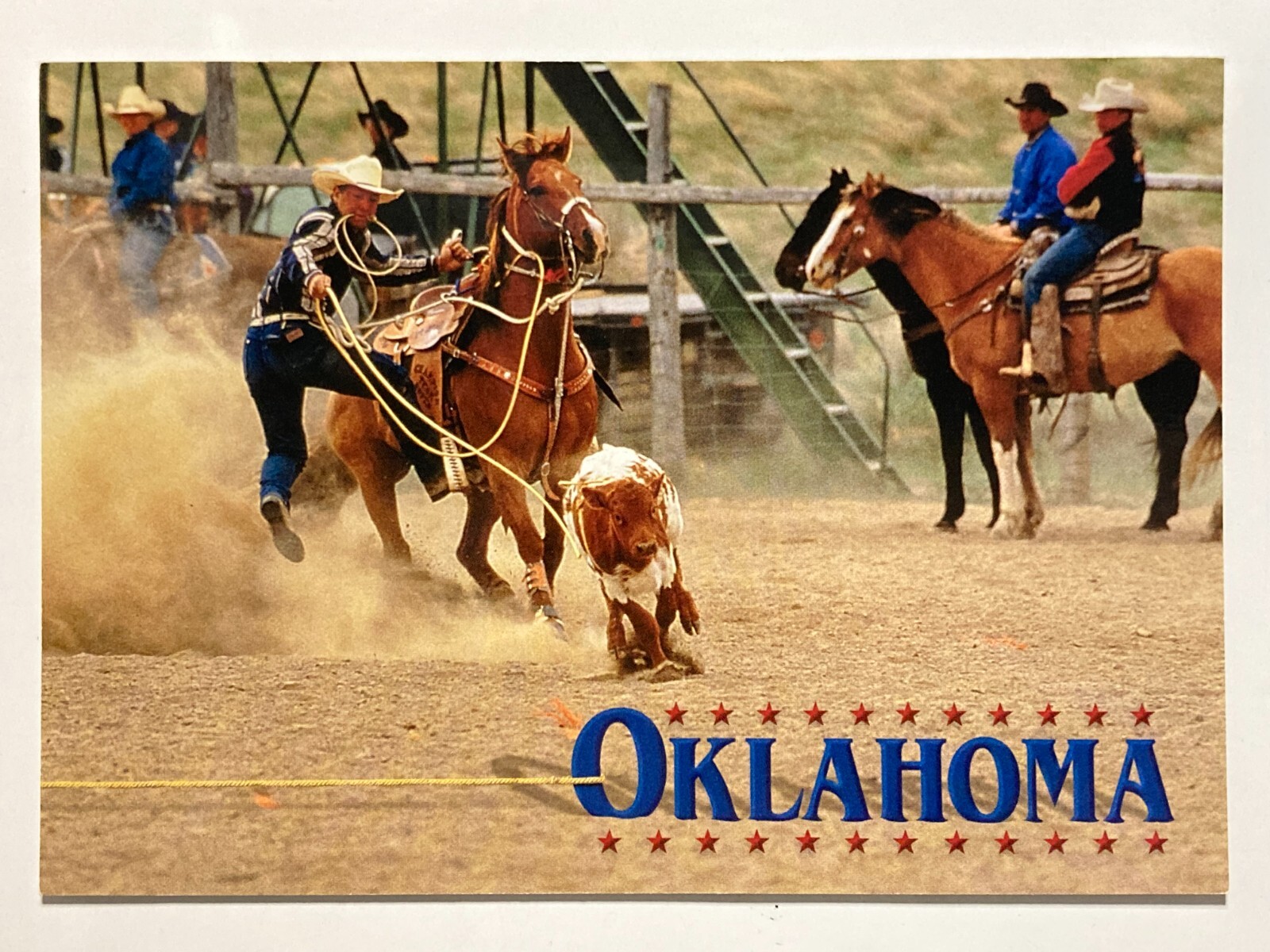 Rodeo Oklahoma Cattle Roping Picture Postcard 7616 Photo by David Stoecklein