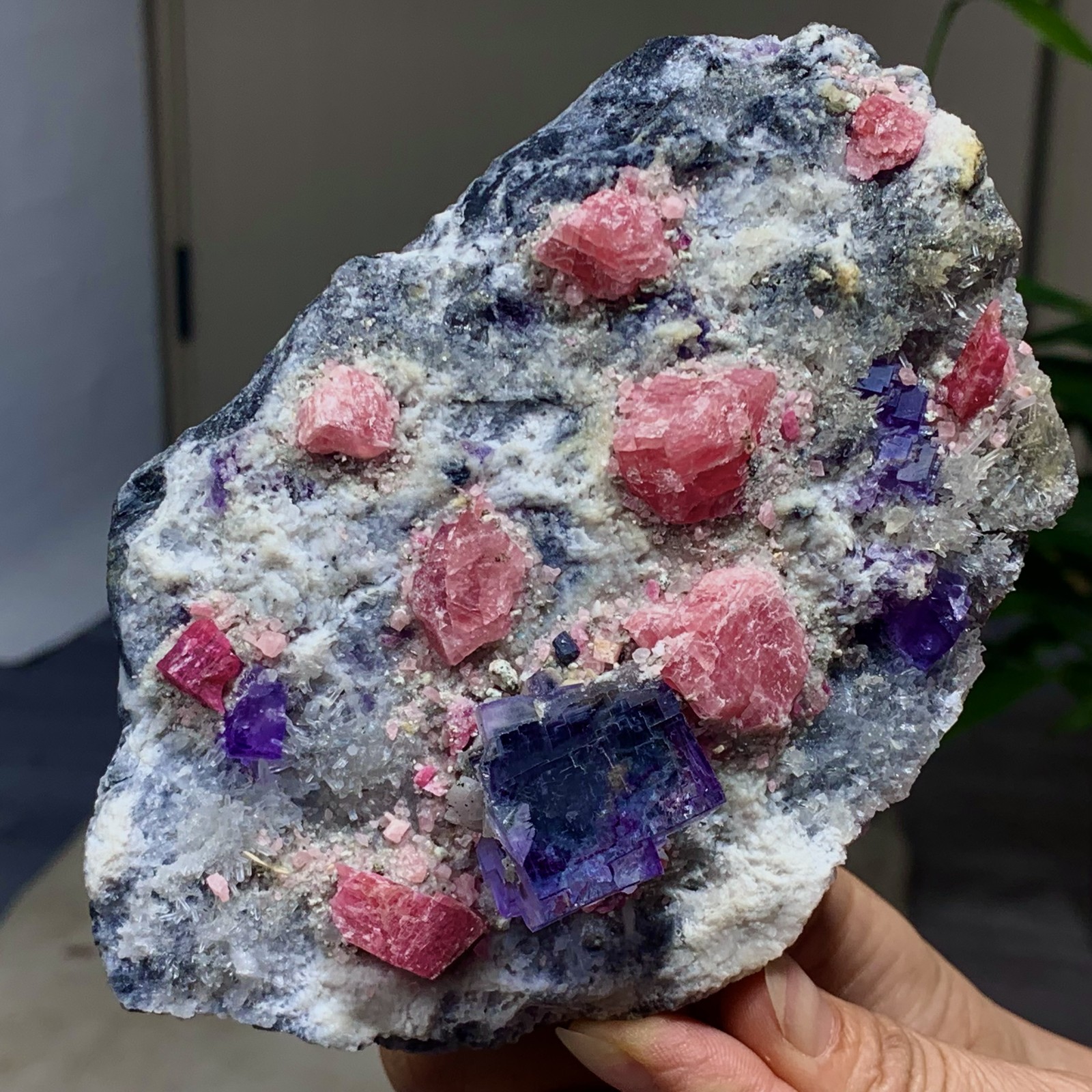 1.39LB Natural rhodochrosite with fluorite crystal mineral specimen healing