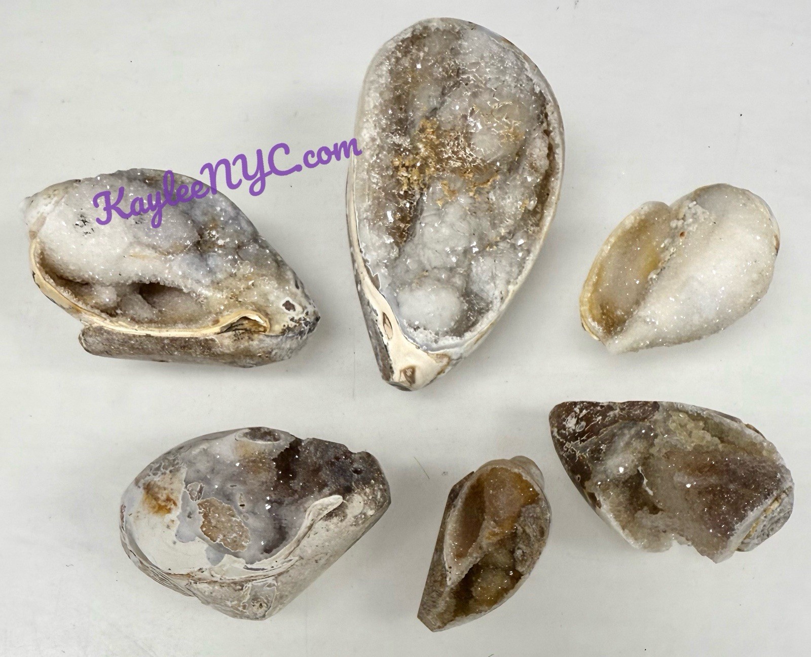Wholesale Lot 6 PCs Natural Spiralite Fossil Sea Shell Crystals  Healing Energy