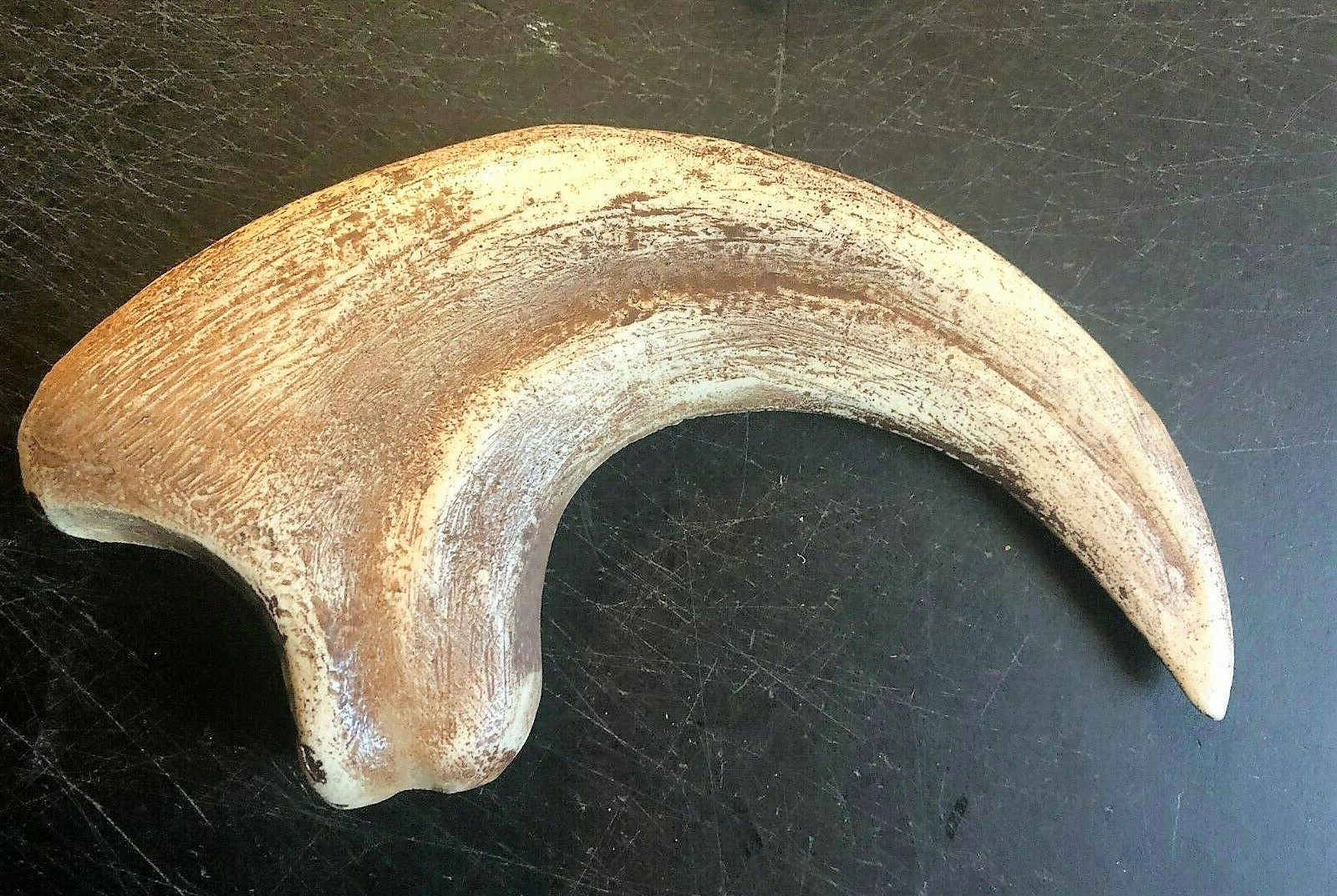 9 INCH RAPTOR CLAW JURASSIC DINOSAUR FOSSIL BONE REPLICA TALON RELIC UTAHRAPTOR