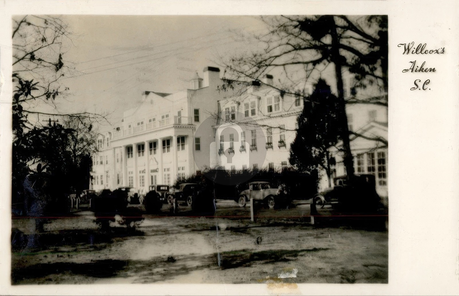 Aiken SC South Carolina Wilcox's Old Cars 1937 RPPC Photo Postcard COPY