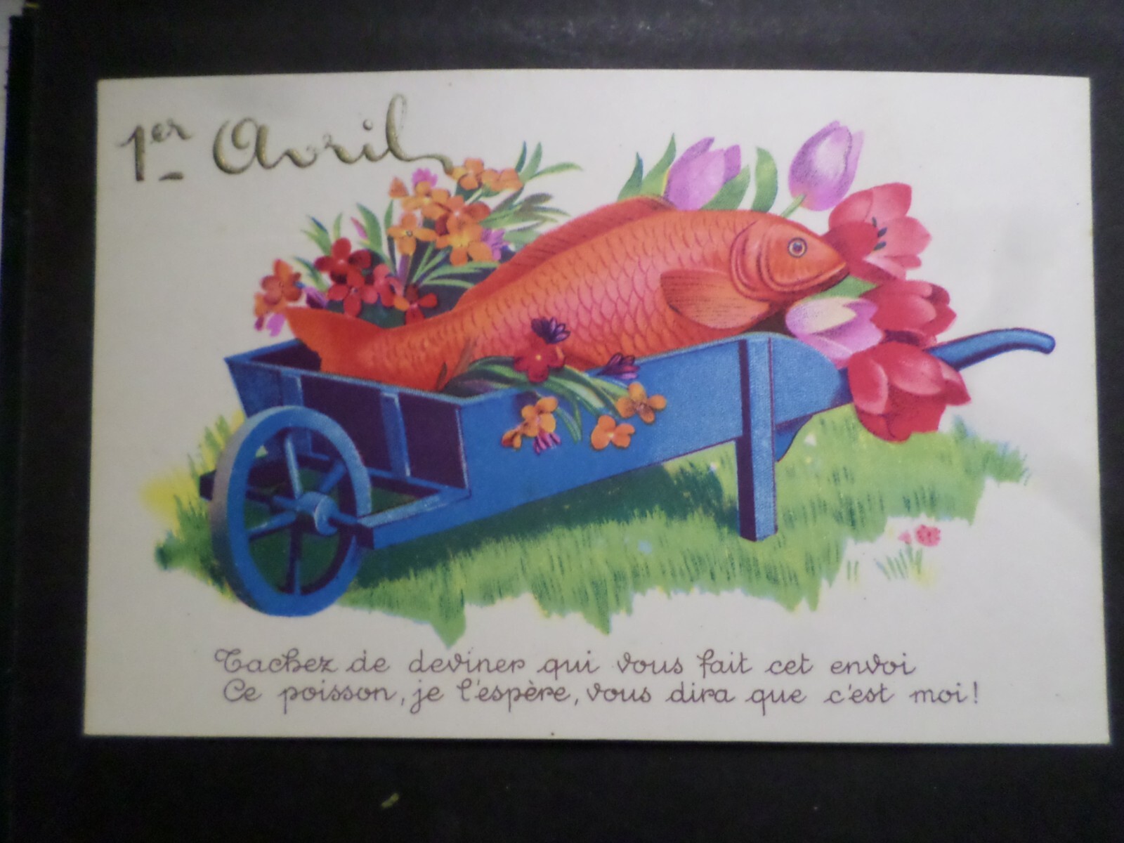 CPA Fantasy April Fish Tulip Flowers