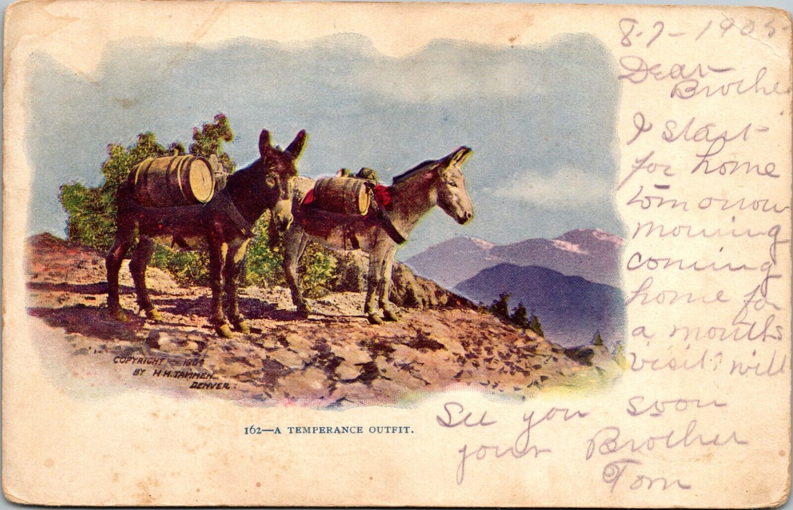 Vintage Postcard - Embossed Undivided Back 2 Donkey A Temperance Outfit 