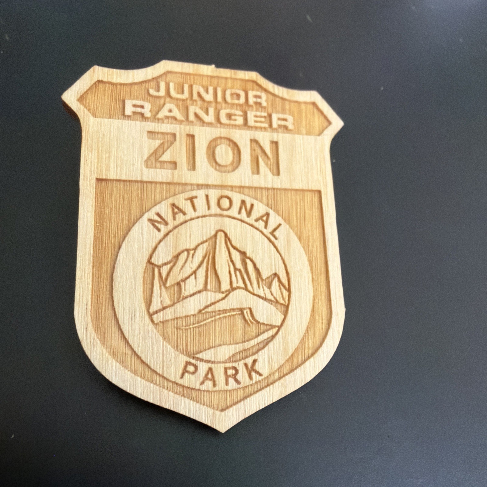 Vintage Zion Junior Ranger National Park Wooden Souvenir Lapel Pin Vintage Zion Junior Ranger National Park Wooden Souvenir Lapel Pin
