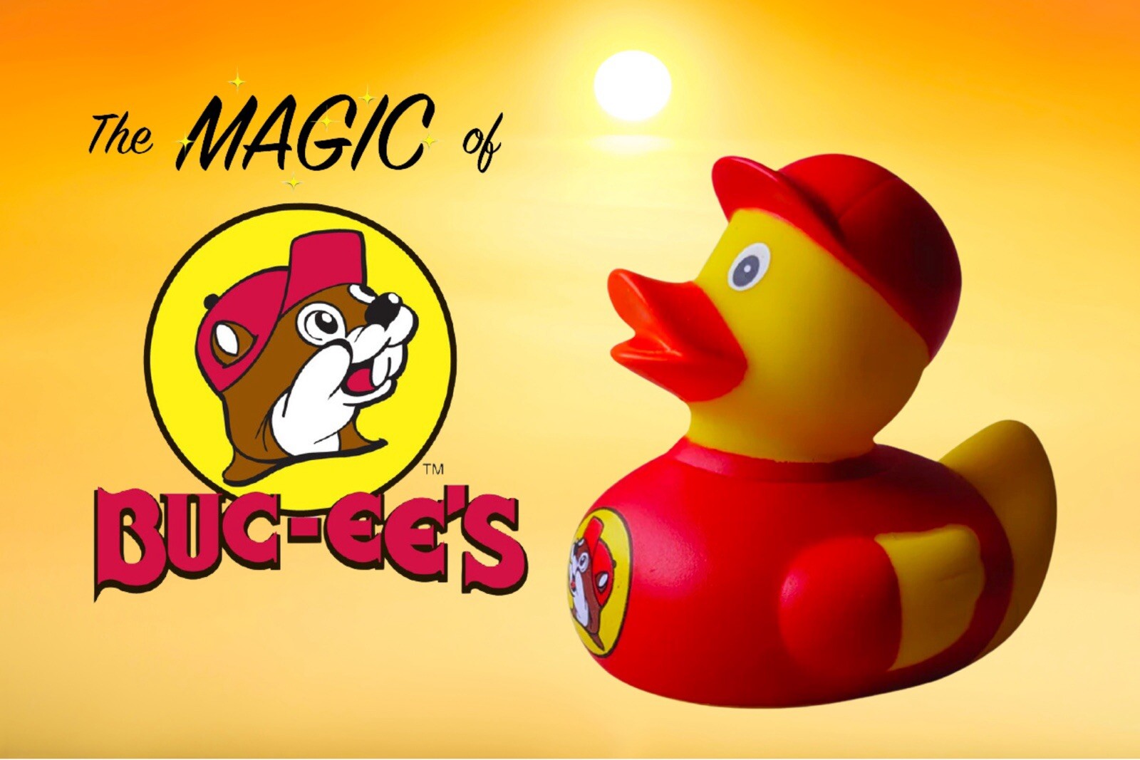 Rare, Hard To Find, Buc-ee’s Rubber Duck Collectible, Bath Toy, Jeep Duck Bucees Rare, Hard To Find, Buc-ee’s Rubber Duck Collectible, Bath Toy, Jeep Duck Bucees
