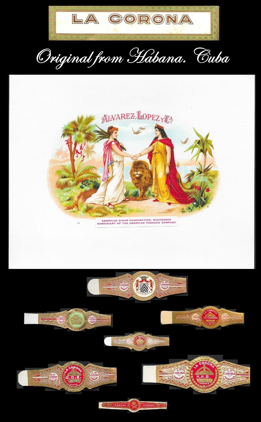 Awesome Vintage Cuban Cigar Label and Cigar Bands -19th/Early 20th C.