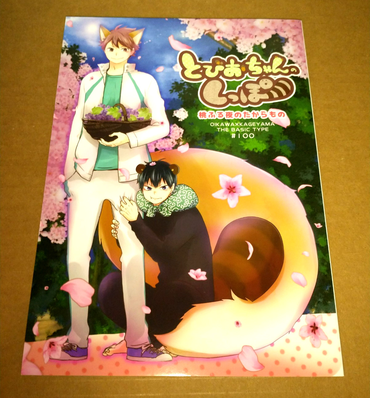8 Haikyuu Haikyu Doujinshi ( Oikawa x  Tobio Kageyama ) Japanese Comic Books