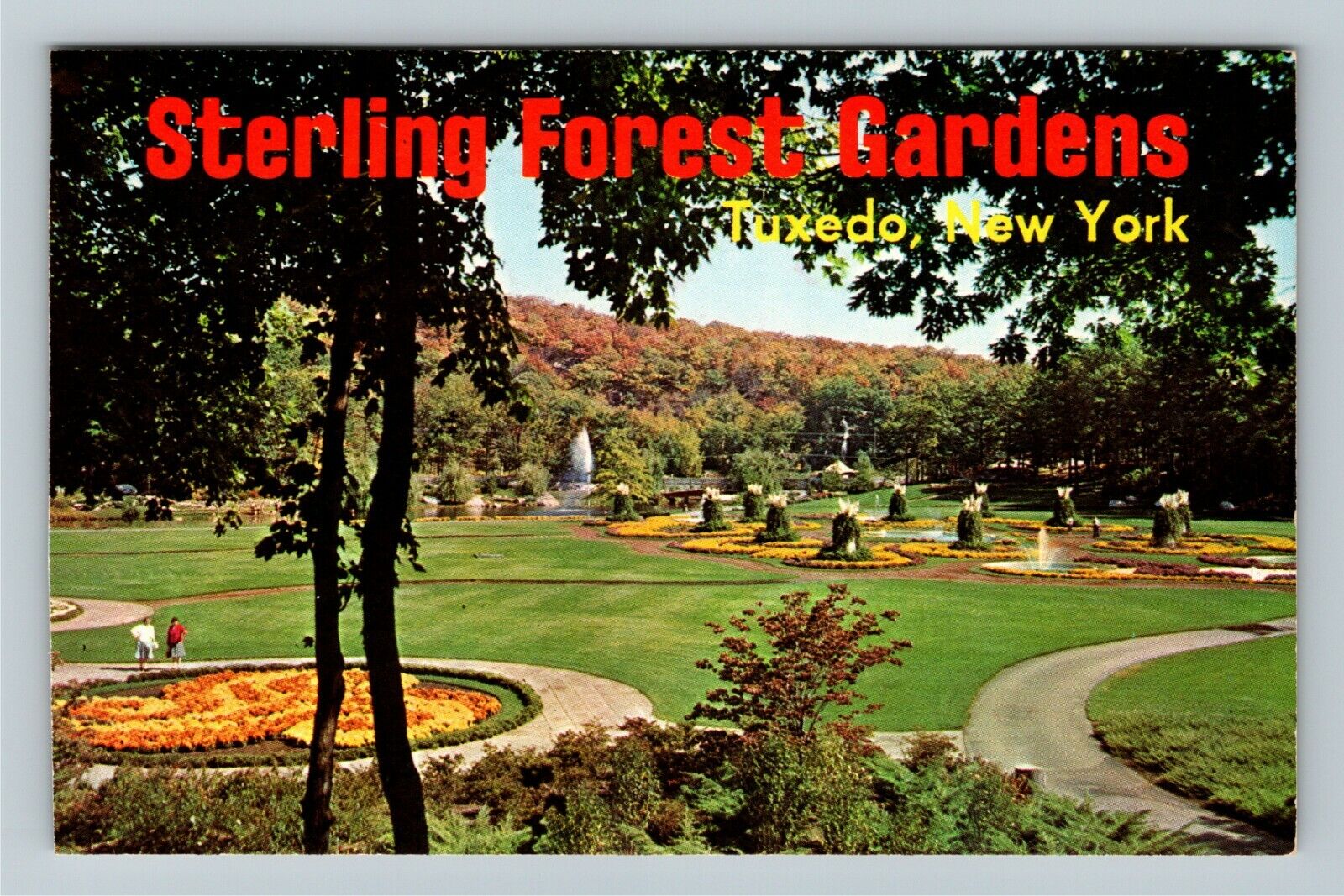 Tuxedo NY-New York, Sterling Forest Gardens, Vintage Postcard