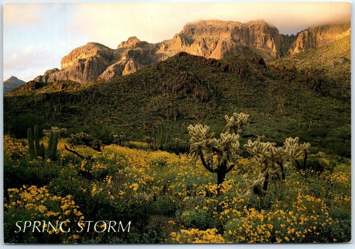 Postcard Desert Spring Storm Ajo Mountains Arizona USA North America