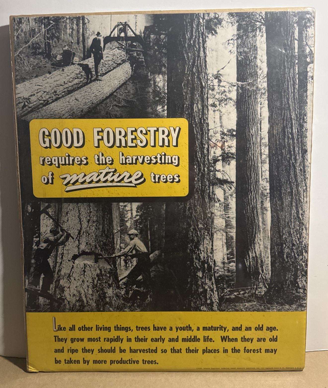 Vintage Good Forestry Logging Lumberjack Advertising Sign 16x20 Timber Display