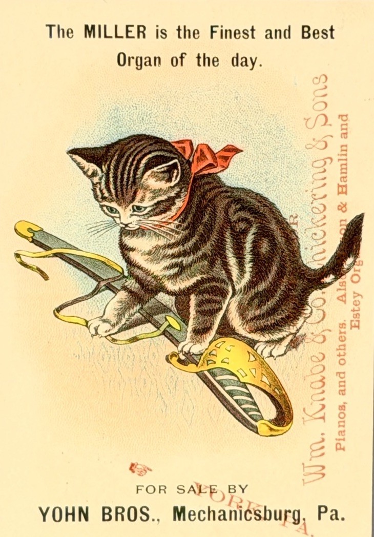 Mechanicsburg PA Victorian Trade Card Miller Organ Kitten Cat Sword Yohn Bros