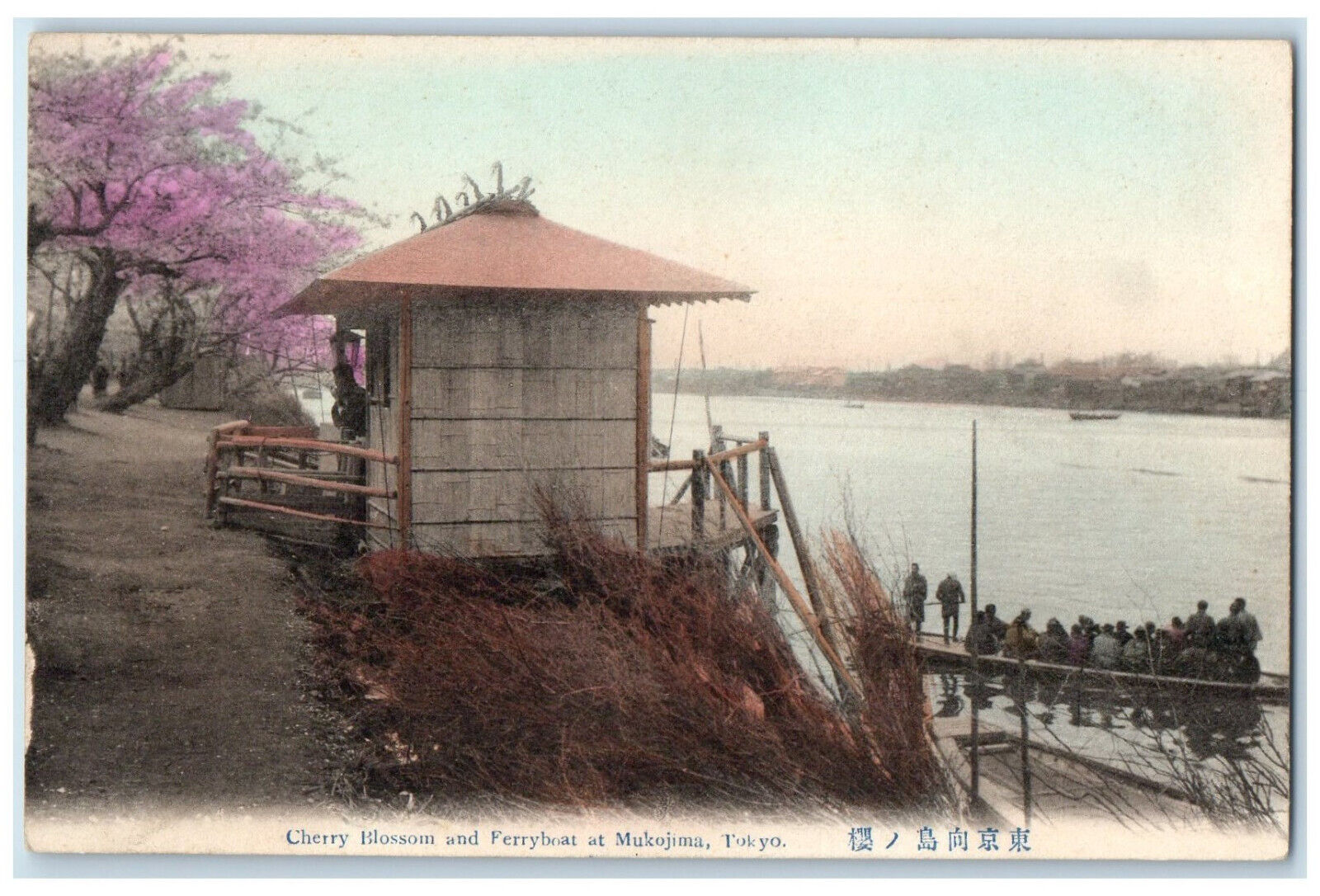 c1910 Cherry Blossom Ferryboat Mukojima Tokyo Japan Antique Postcard