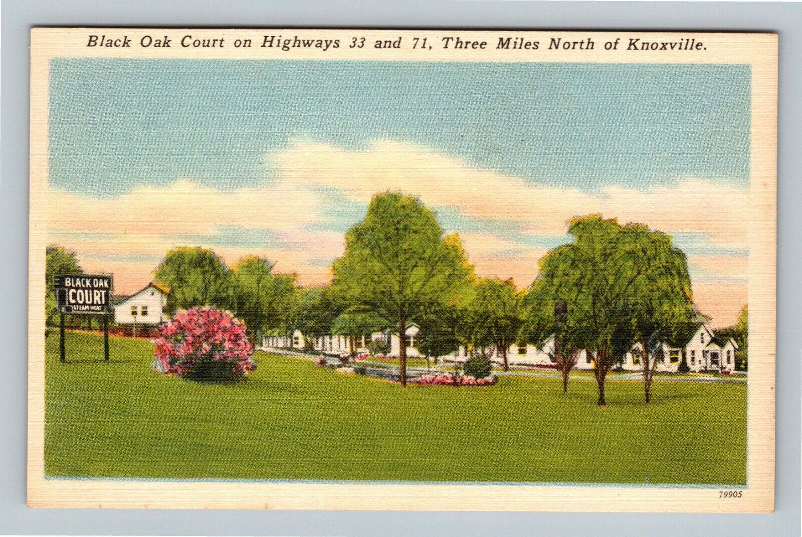 Knoxville TN, Black Oak Court, Tennessee Vintage Postcard