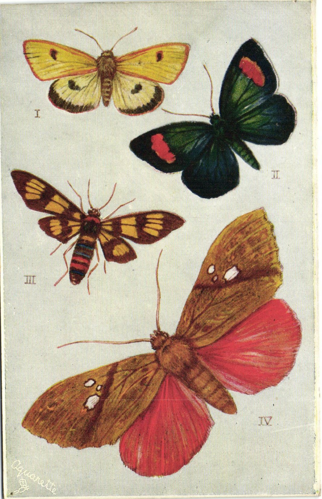 PC R. J. WEALTHY, ARTIST SIGNED, BUTTERFLIES, TUCK'S, Vintage Postcard (b38587)