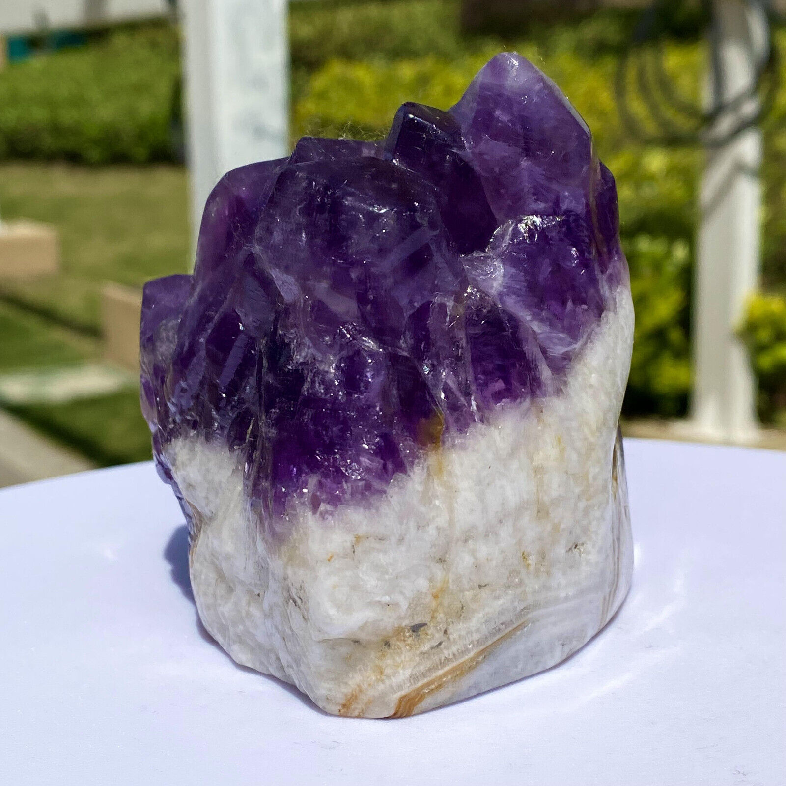 1.53LB Natural backbone amethyst quartz crystal mineral specimen