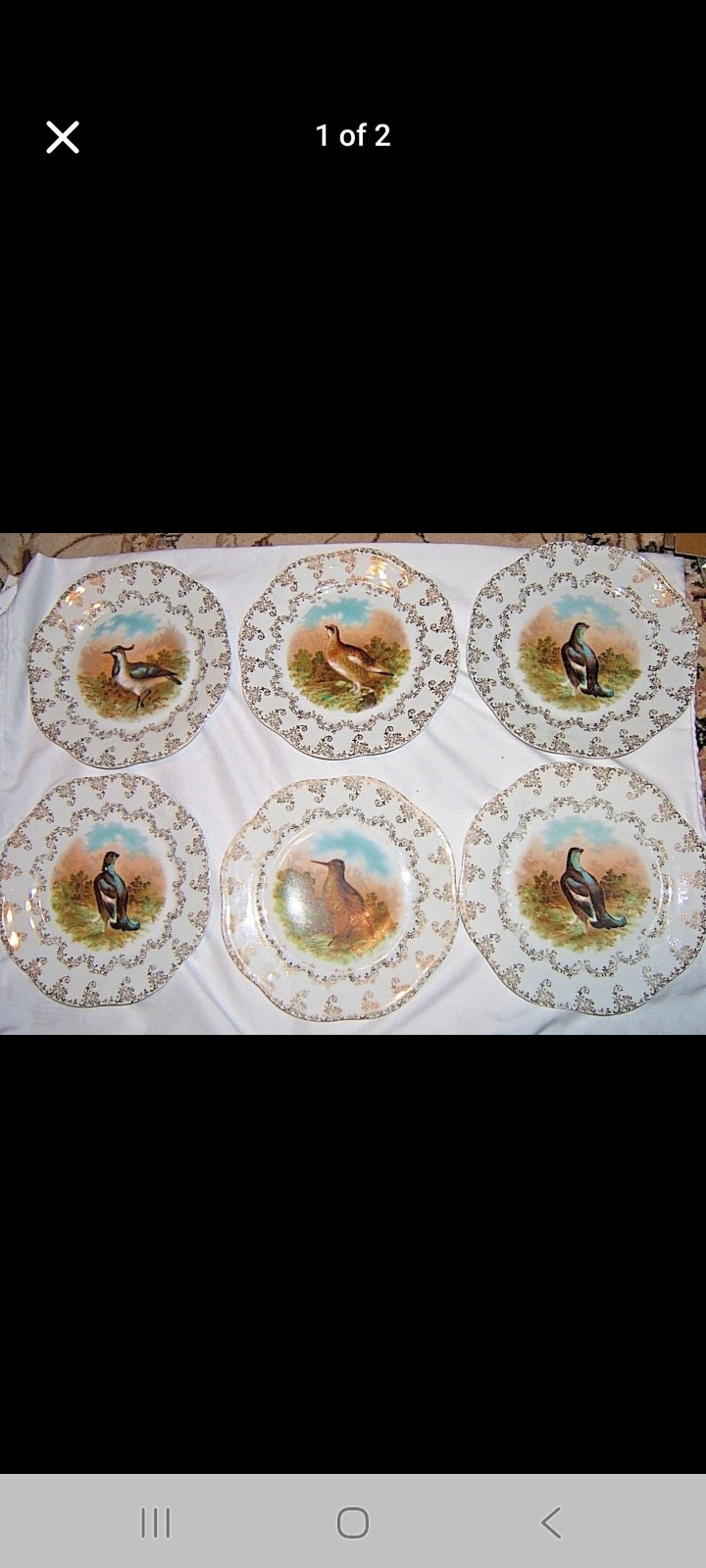 Game Plate Set