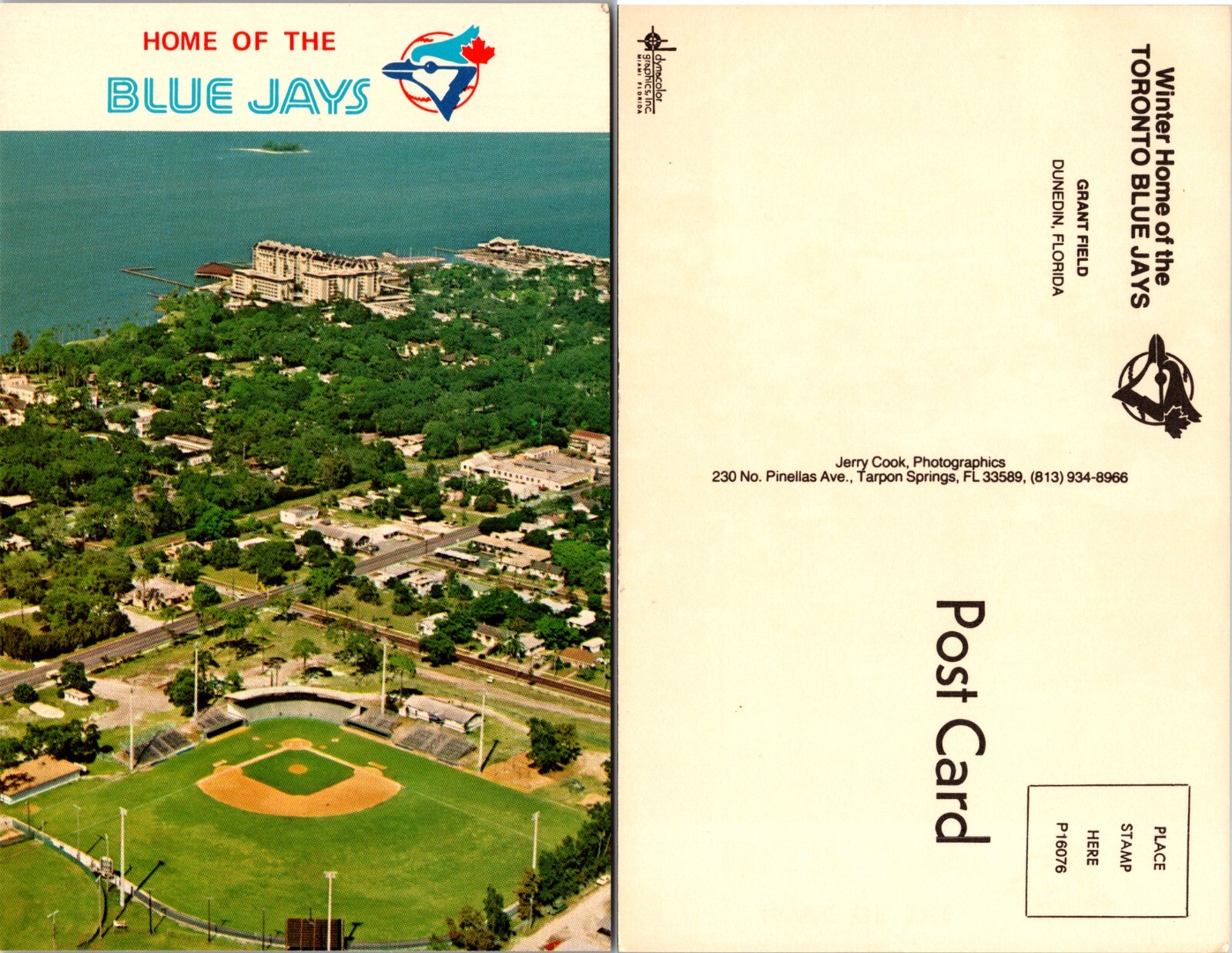Toronto Blue Jays Spring Training Dunedin Florida FL Postcard