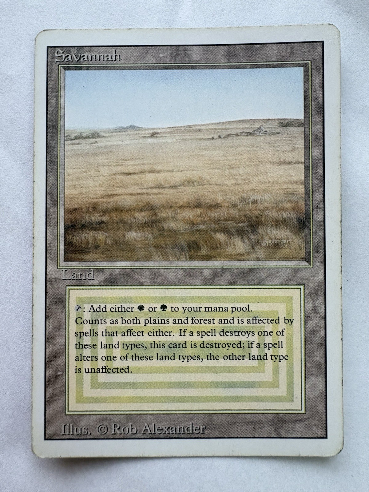 MTG Savannah Revised Edition Regular Rare