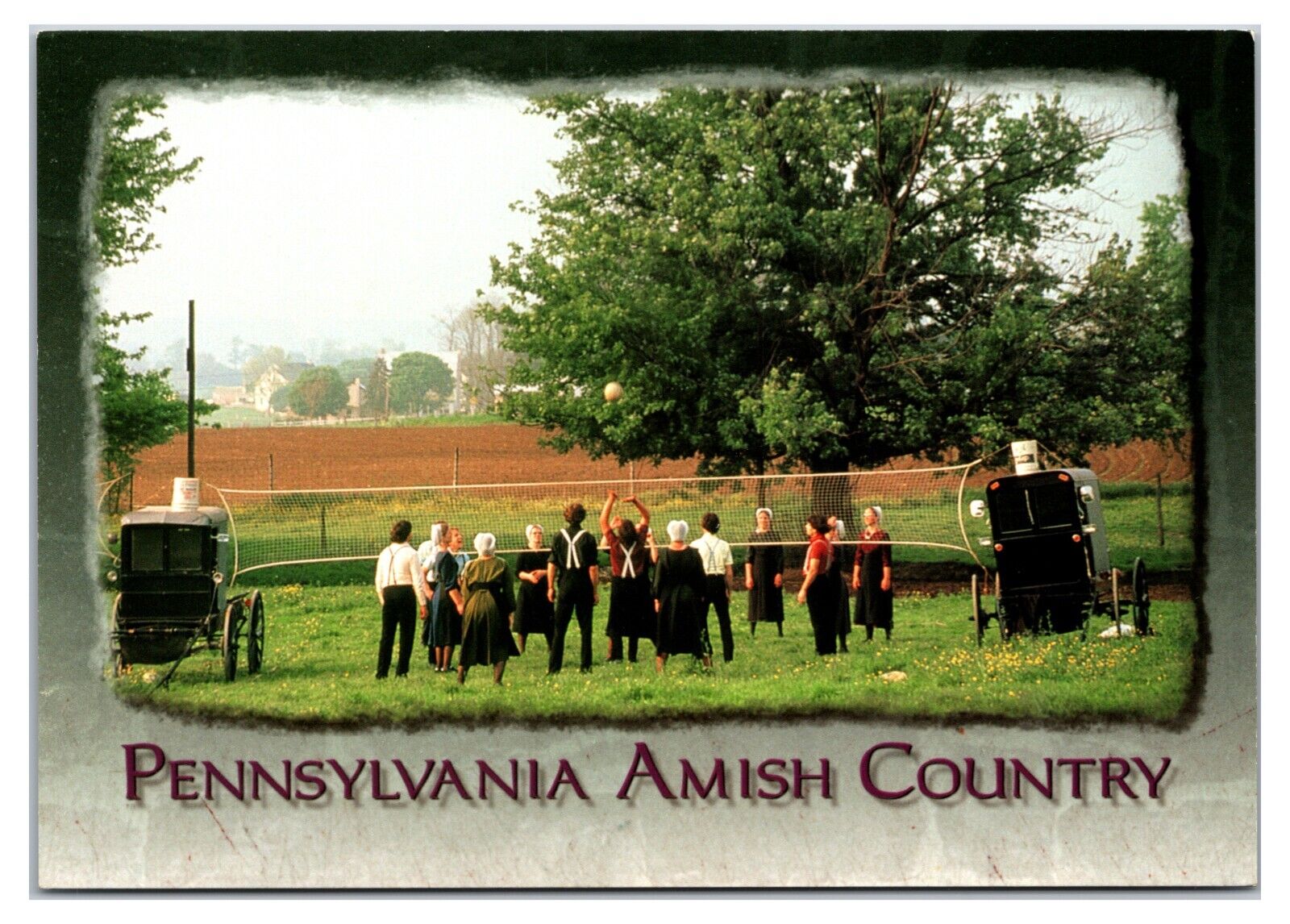 2000s - An Amish Volleyball Game - Lancaster, Pennsylvania Postcard (UnPosted)