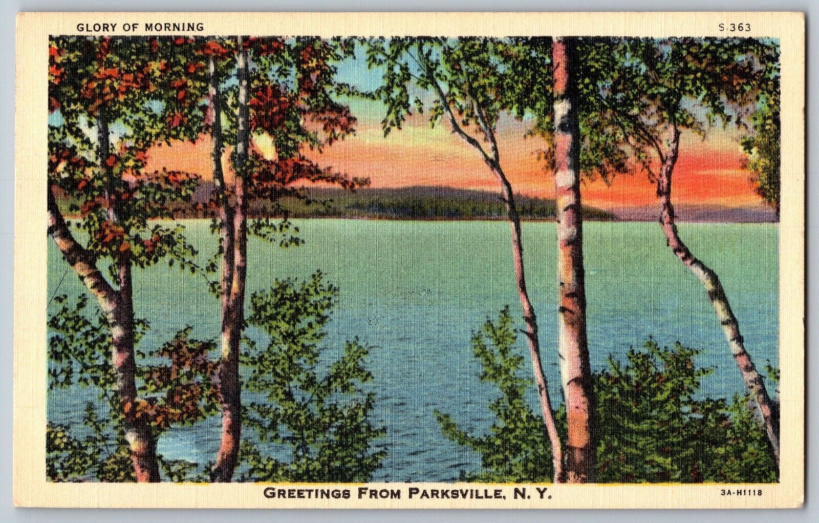 New York NY - Greetings from Parksville - View of Lakes - Vintage Postcards