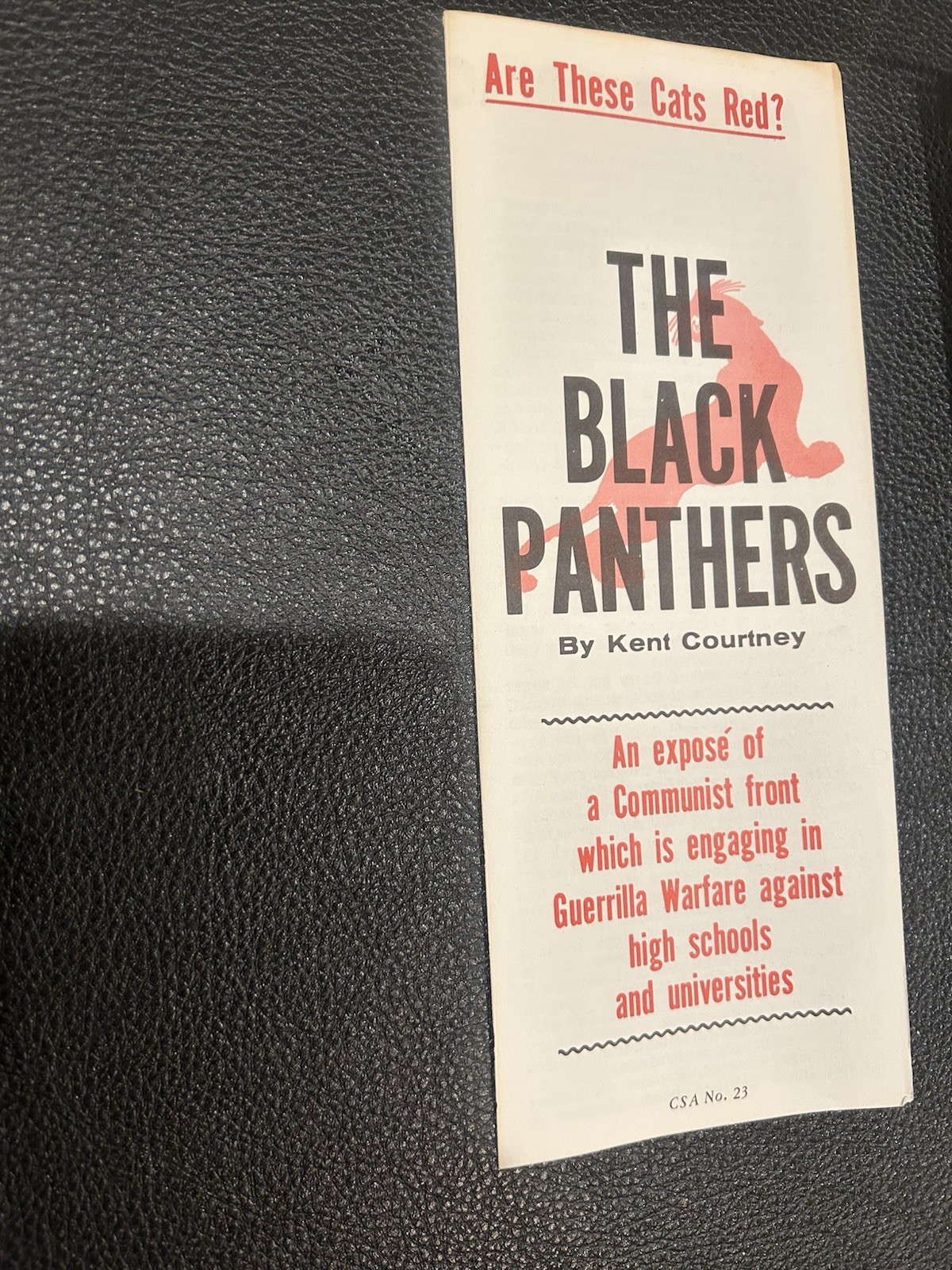 Vintage 1969 Black Panthers booklet ephemera propaganda Red communism VG Scarce