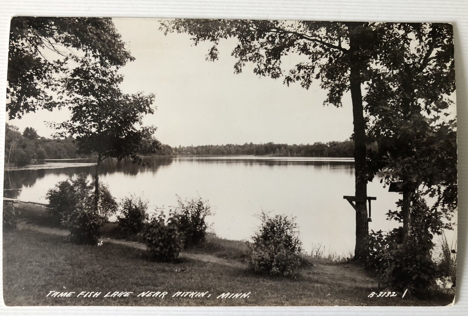Vintage Postcard RPPC Real Photo Tame Fish Lake Near Aitkin MN Minnesota Summer Vintage Postcard RPPC Real Photo Tame Fish Lake Near Aitkin MN Minnesota Summer