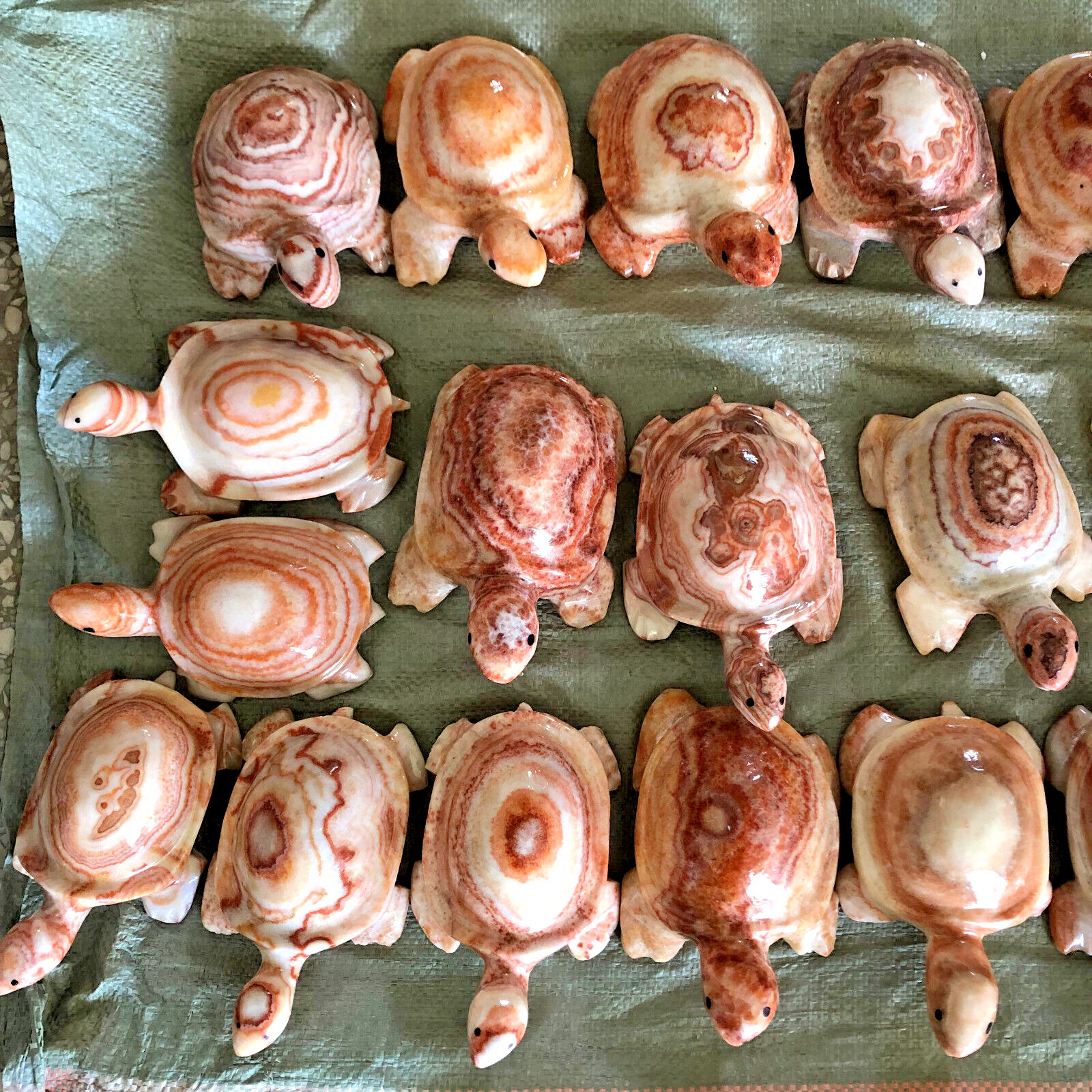 wholesale 5pcs Natural Meat Pork Stone hand Carving Turtle specimen