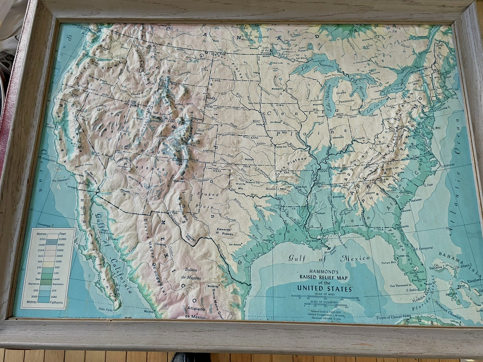 1960\'s Hammond Relief Map of USA Framed 3-D Touchable Topography Wall Map 21x28