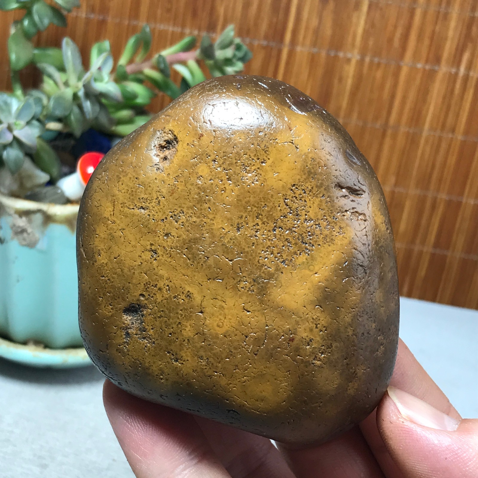 239g natural Bonsai Suiseki Gobi Agate Eyes Stone-Stunning original View A7850