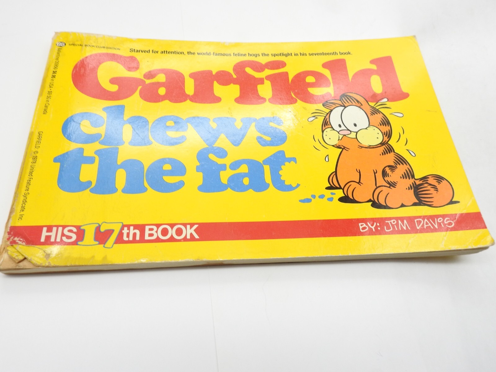 1989 1st Edition GARFIELD CHEWS THE FAT HIS 17TH BOOK BY JIM DAVIS Vintage