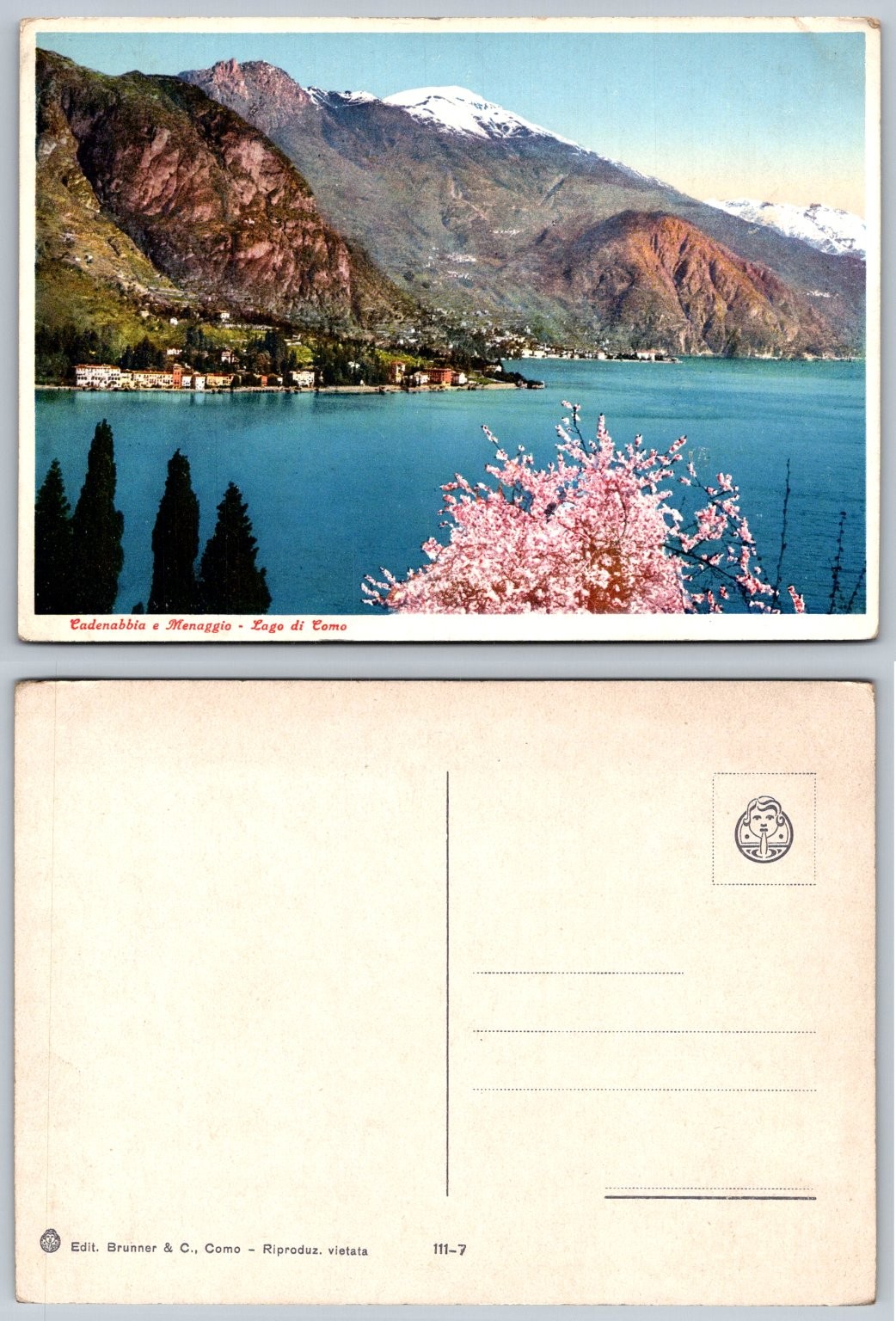 Cadenabbia Menaggio Lake Como Italy Vintage Postcard Alps Blossom