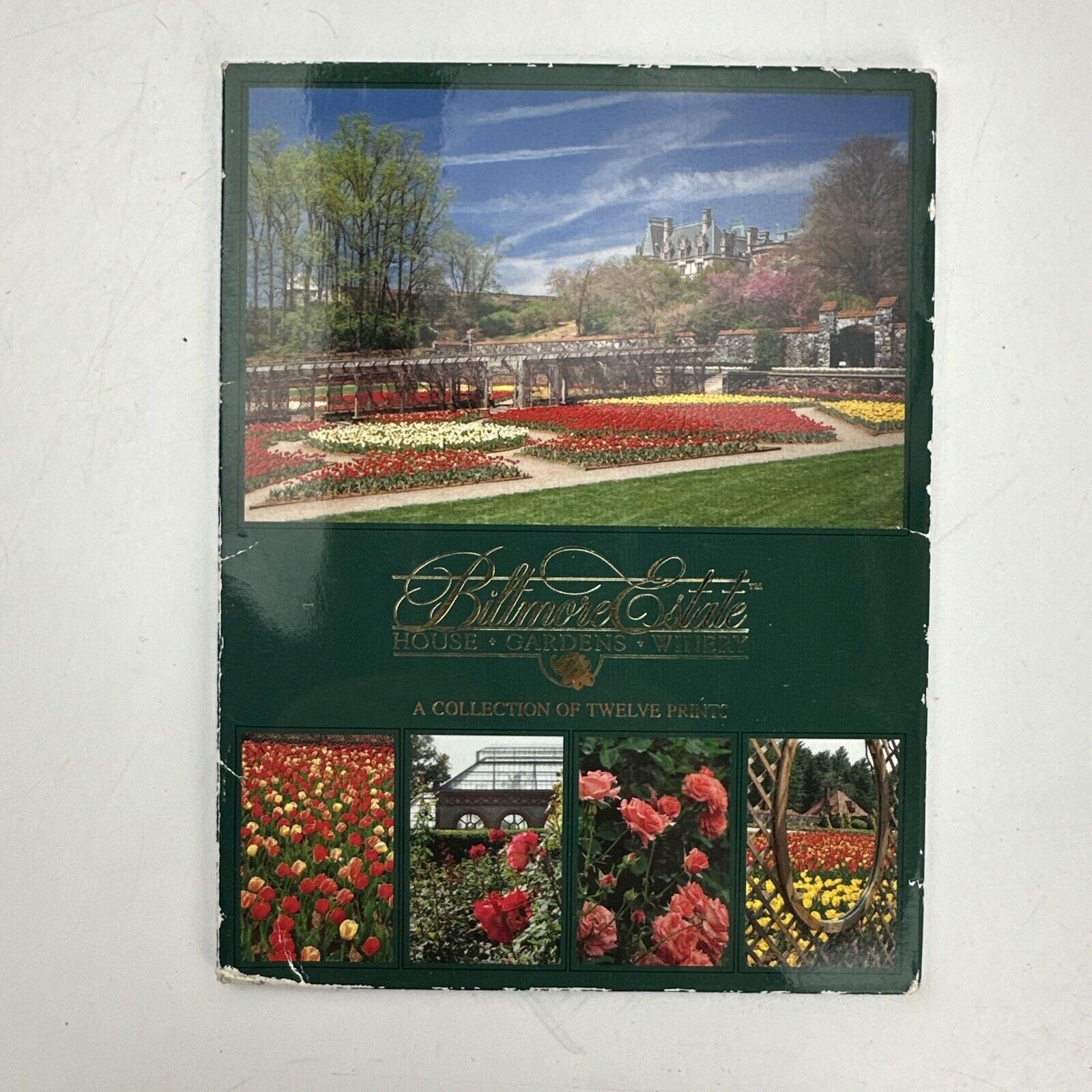 Biltmore Estate Collection of Twelve 4x6 Prints Postcards