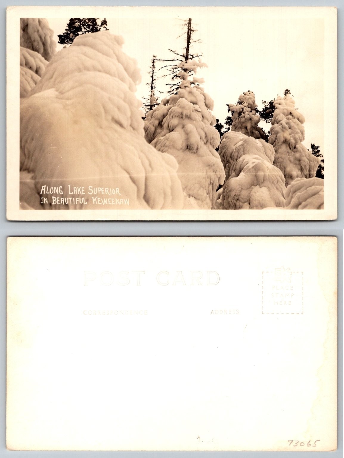 RPPC Lake Superior Keweenaw Michigan Heavy Snow Ice Winter Trees Postcard