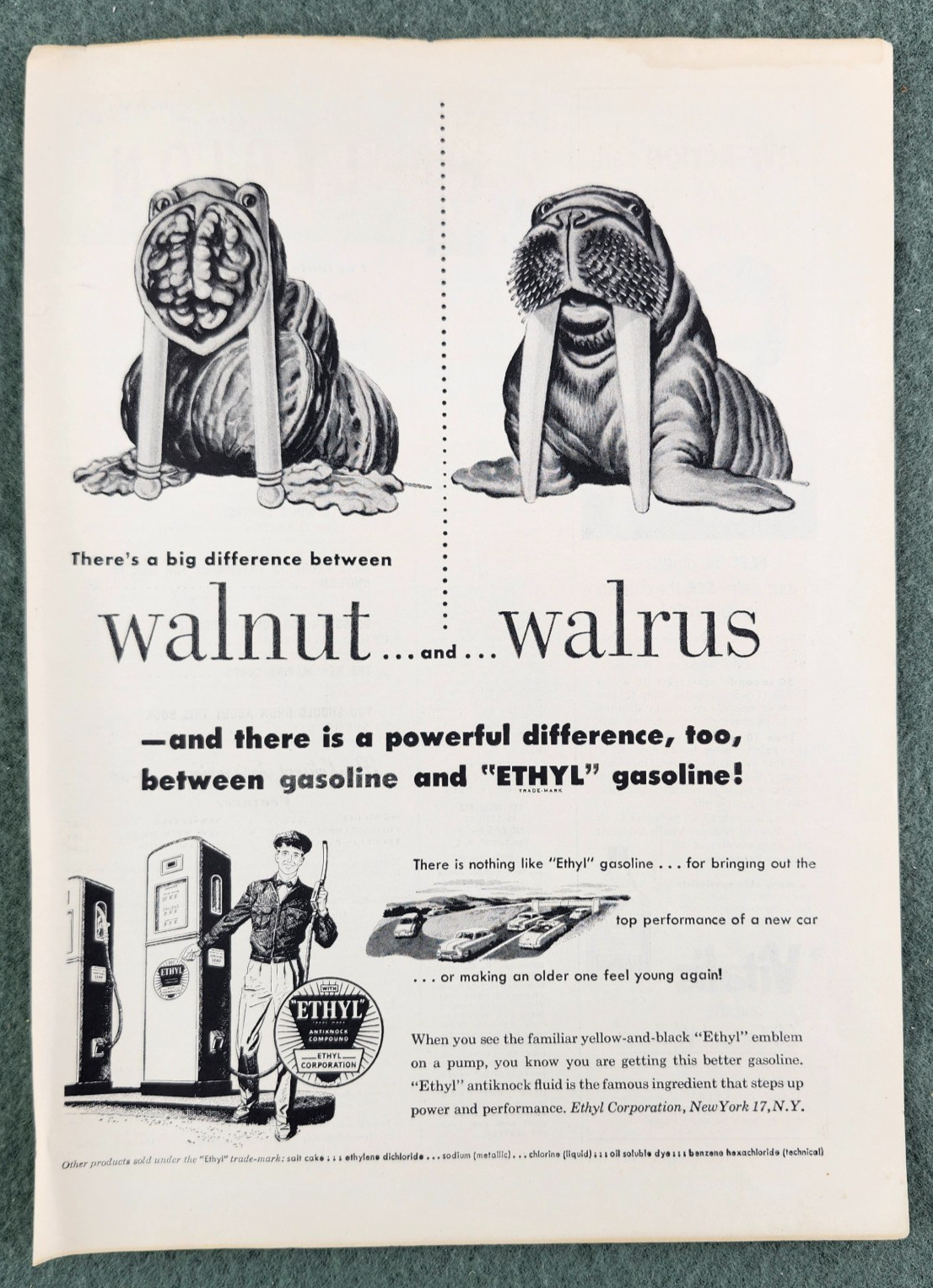1951 ETHYL GASOLINE Genuine Vintage Print Ad High Octane Walnut Walrus MCM 11x8