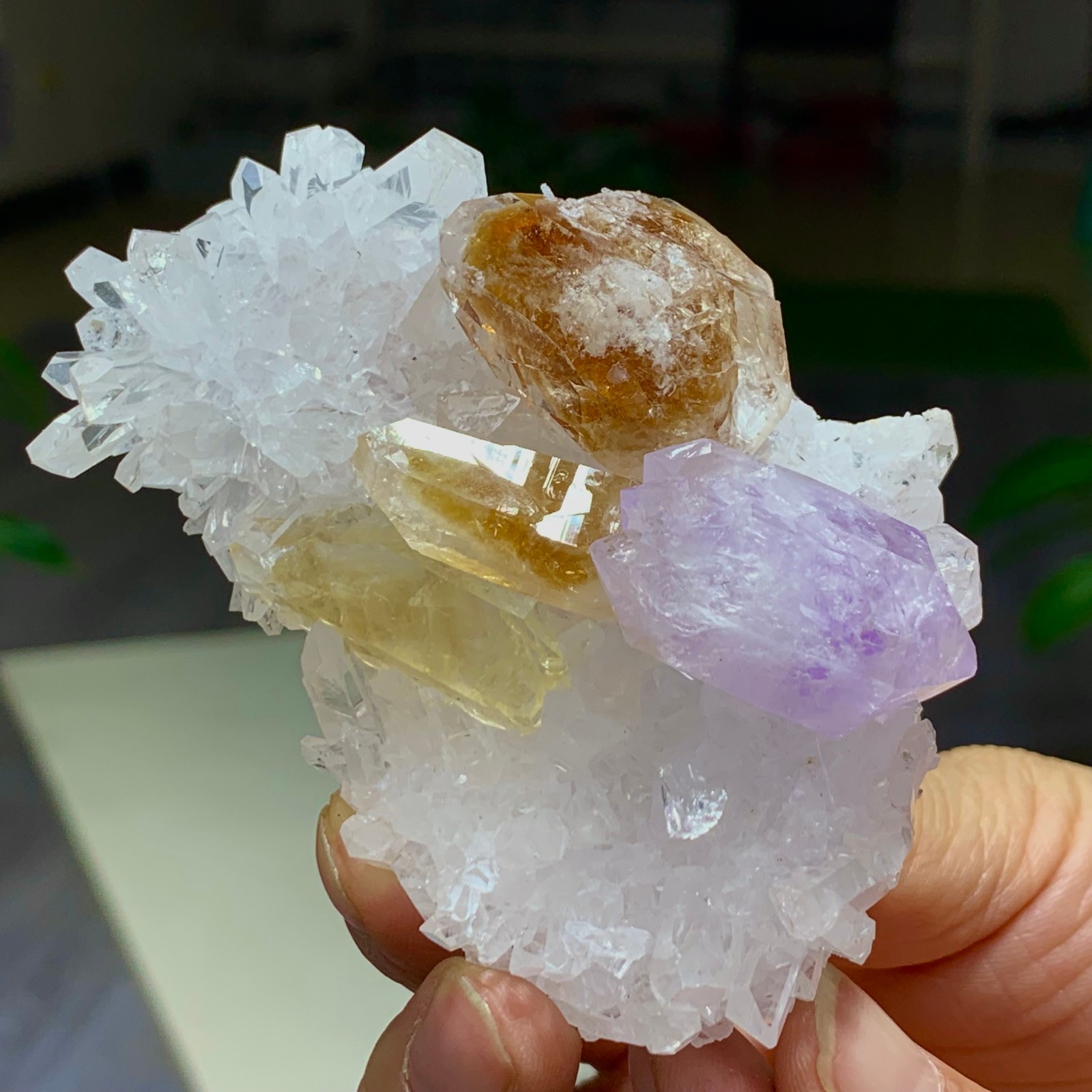 136G Natural Chrysanthemum crystal Cluster +citrine Amethyst Specimen
