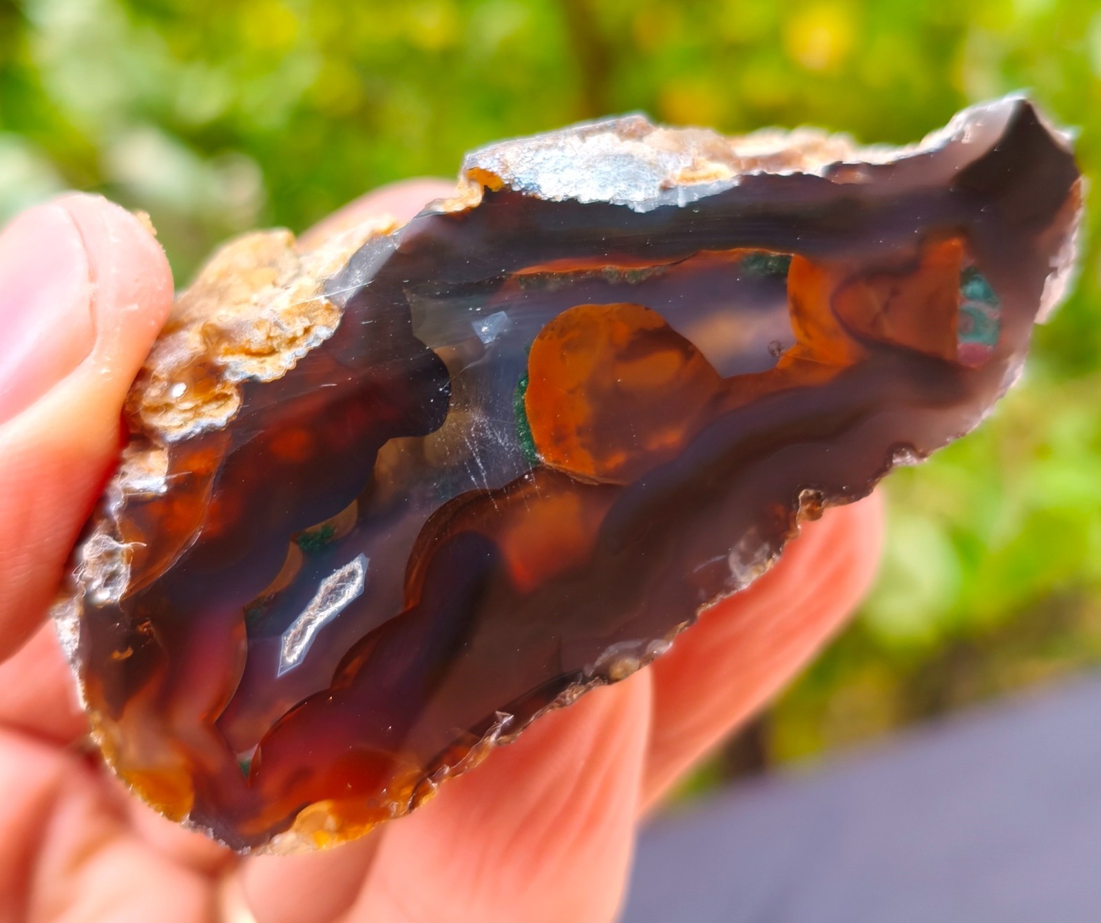 Mirror Polished Extremely Rare Turkish Red Fox Agate Uv Fluorescent